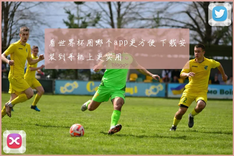 看世界杯用哪个app更方便 下载安装到手机上更实用