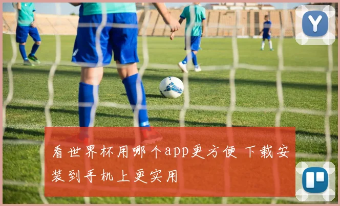 看世界杯用哪个app更方便 下载安装到手机上更实用