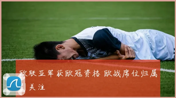 欧联亚军获欧冠资格 欧战席位归属引关注