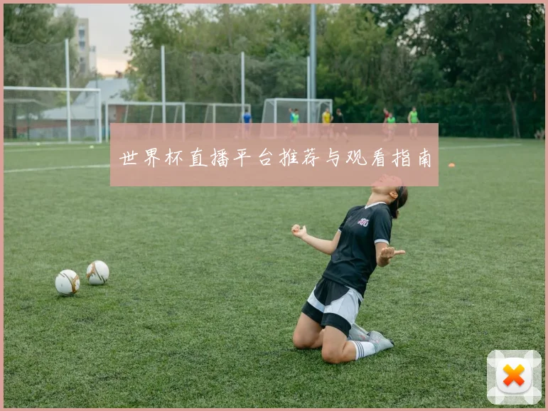 世界杯直播平台推荐与观看指南