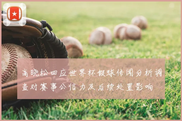 高晓松回应世界杯假球传闻分析调查对赛事公信力及后续处置影响