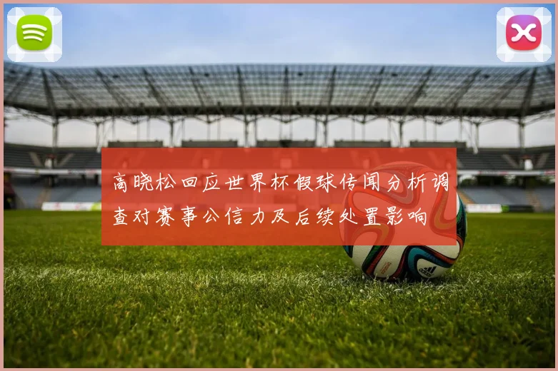 高晓松回应世界杯假球传闻分析调查对赛事公信力及后续处置影响