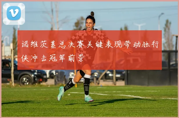 诺维茨基总决赛关键表现带动独行侠冲击冠军前景
