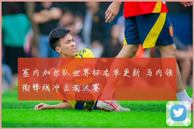 塞内加尔队世界杯名单更新 马内领衔锋线冲击淘汰赛