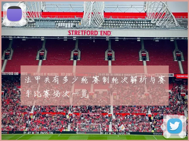 法甲共有多少轮 赛制轮次解析与赛季比赛场次一览