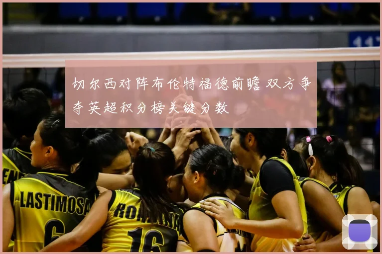 切尔西对阵布伦特福德前瞻 双方争夺英超积分榜关键分数