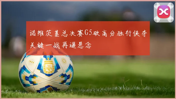 诺维茨基总决赛G5砍高分独行侠夺关键一战再逼悬念